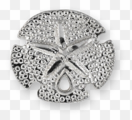 Sand Dollar Png