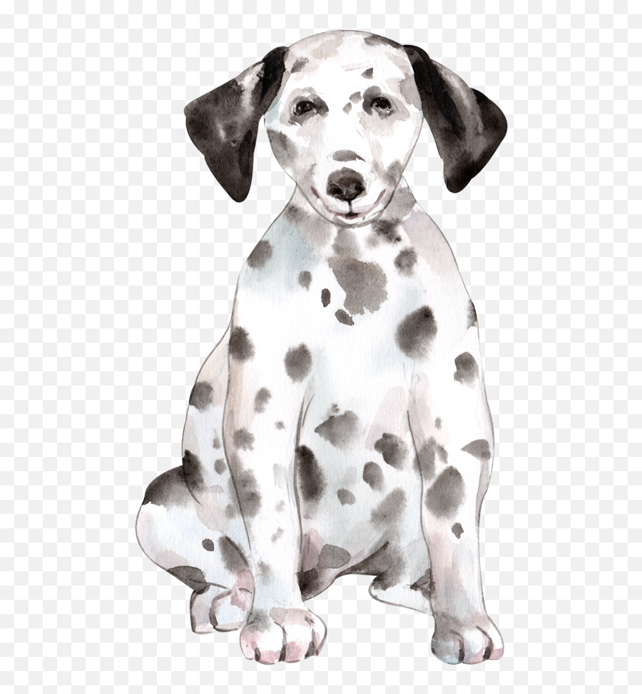 Cute Dog Watercolor By We Studio - Dalmatian Png,Cute Puppy Png