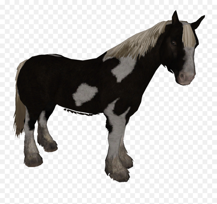 Horse - Skyrim Wiki Skyrim Black And White Horse Png,Horse Png