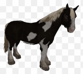 Horse - Skyrim Wiki Black And White png