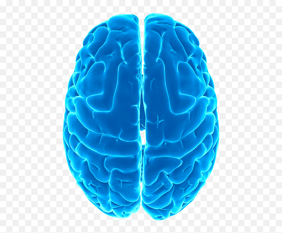 Brain Png - Smart Brain,Brain Transparent Png