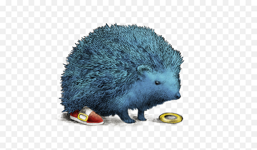 Sonic Baby Onesie - Blauer Igel Png,Hedgehog Transparent