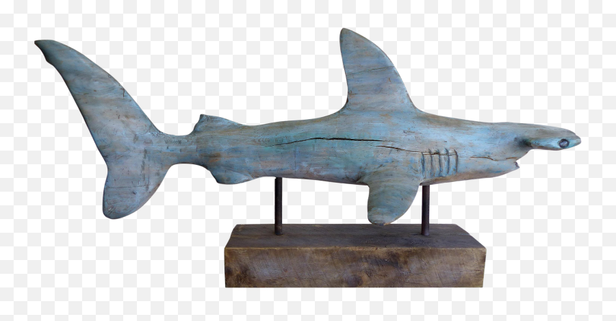 Davis Murphy Hand Carved Sculpture Of A Hammerhead Shark 2018 - Carcharhiniformes Png,Hammerhead Shark Png