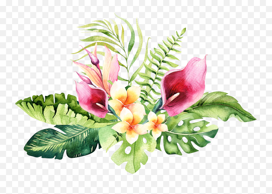 Floral Png - Hand Drawn Watercolor Tropical Flower Png Transparent Background Tropical Flowers Png,Watercolor Floral Png