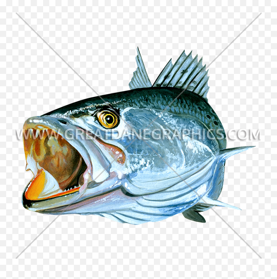 Speckled Trout Open Mouth Production Ready Artwork For T - Speckled Trout Art Png,Open Mouth Png