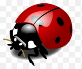Lady Bird Clipart Png Transparent - Thank You Lady Bug Gif,Transparent Ladybug