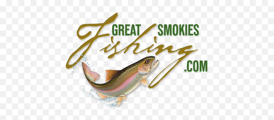 Guide To Bass Trout Fly Fishing Bryson City U0026 Cherokee - Brown Trout Png,Bass Fish Logo