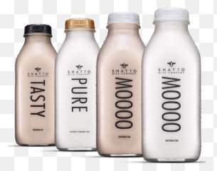 Shatto Milk Case Study Signal Theory - Fresh png