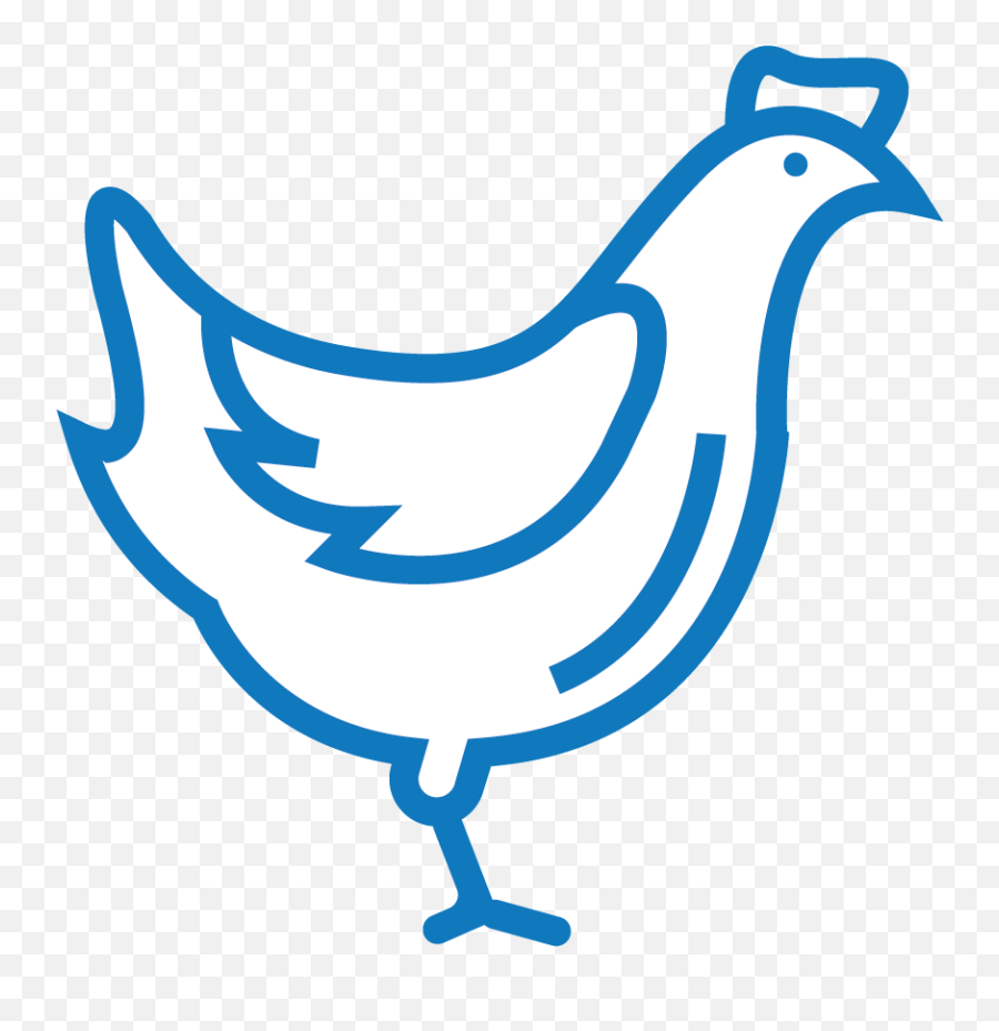 Plexus - Chicken Png,Plexus Png