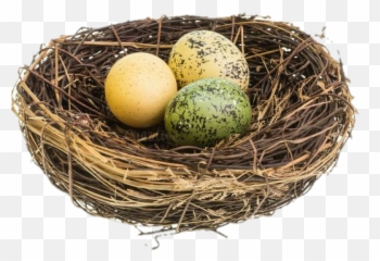 Twig Png Nest
