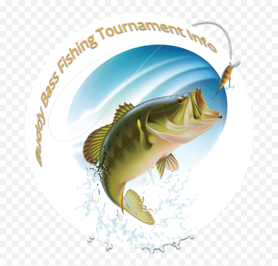 Buddy Bass Fishing Tournament - Crest Lodge Resort Table Animado Robalo Dibujo Png,Largemouth Bass Png