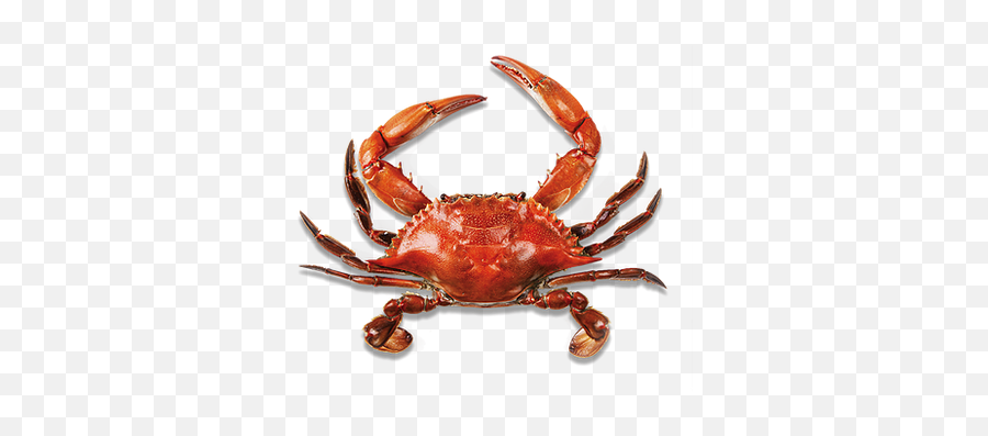 Home Tasty Tails - Crabs Png,Crawfish Icon