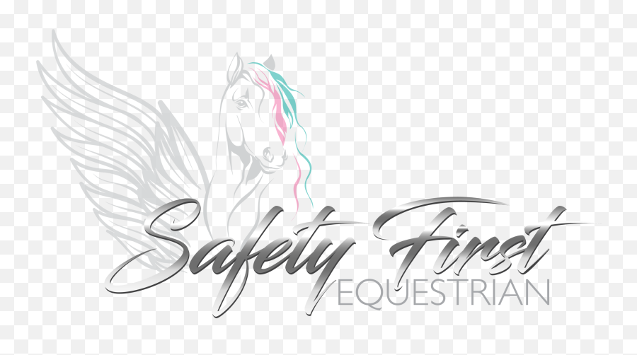 Home Safety1equestrian - Red Giant Software Png,Icon Riding Vest