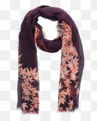 Dries Van Noten Scarf Fugazi Silk - Solid png