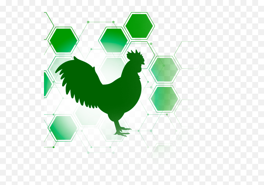 About - Publications Comb Png,How To Get Rooster Icon