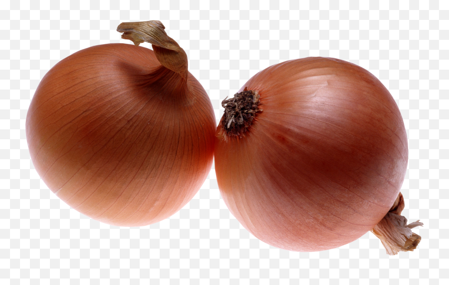 Download Onion Png Image For Free - 2 Onions Png,Onion Png