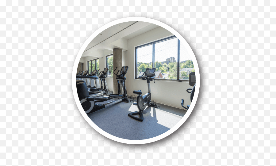 Iconfitness - Nolan Treadmill Png,Fitness Center Icon