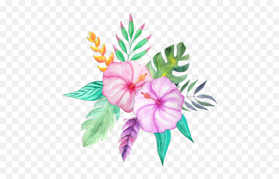 Hawaiian Flowers Png Clipart Vectors - Watercolor Painting,Hawaiian Flowers Png