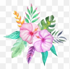 Hawaiian Flowers Png Clipart Vectors - Watercolor Painting
