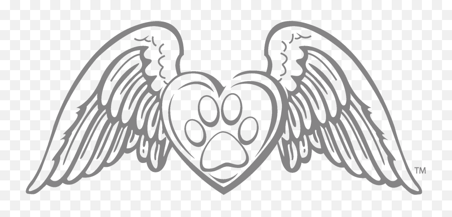 Paw Print Drawing - Angel Wings No Background Transparent Angel Wings Png Cartoon,Angel Wings Transparent Background