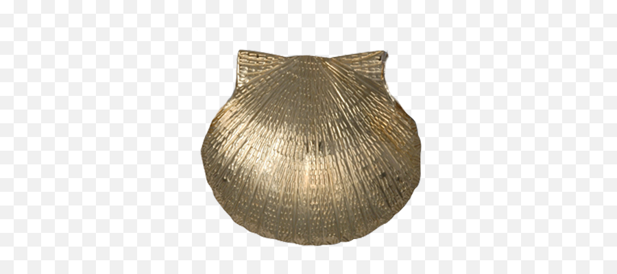Scallop Shell Png