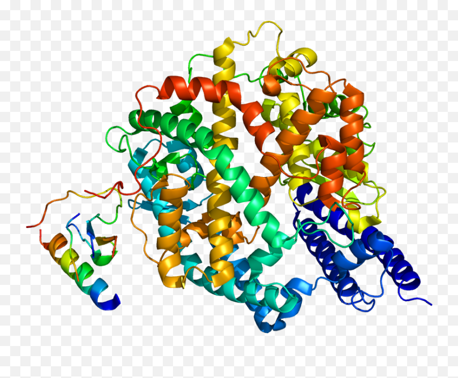 Angiotensin - Angiotensin Converting Enzyme 2 Png,Ace Png