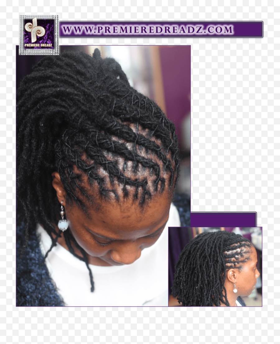 Dreadlock Styles Women Premiere Dreadz Dredz Hair Style Png Dreadlocks Png Free Transparent Png Images Pngaaa Com - roblox dread locks