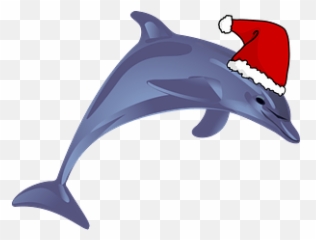 Cartoon Cat In Santa Hat Clipart Free Download Transparent - Clip Art png