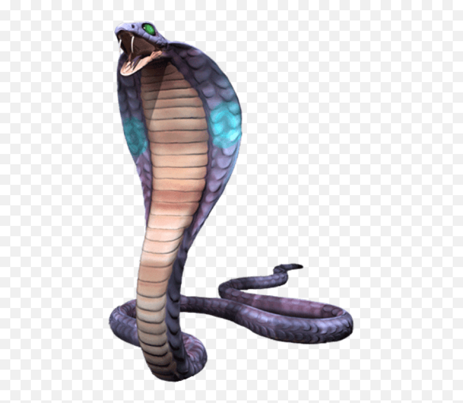 Cobra Png38 - Photo 1048 Free Transparent Png Images On,Cobra Png