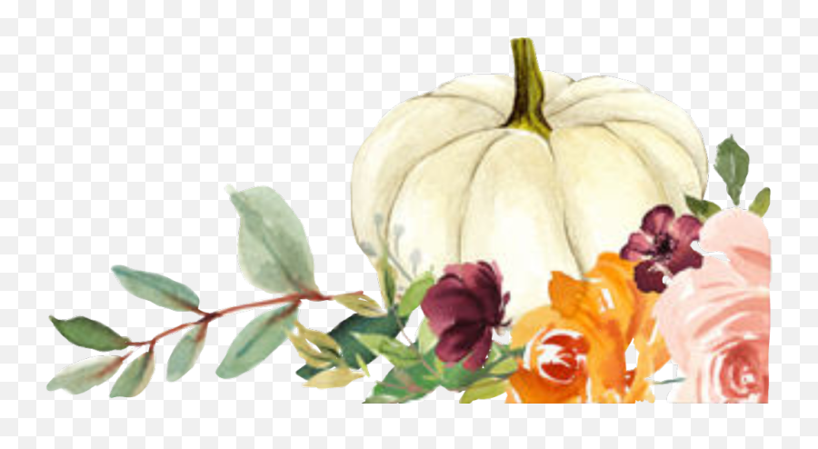 Pumpkins Flowers Fallflowers Fallcolors Cornerdesign - Fall Flowers With Pumpkins Png,Pumpkins Png