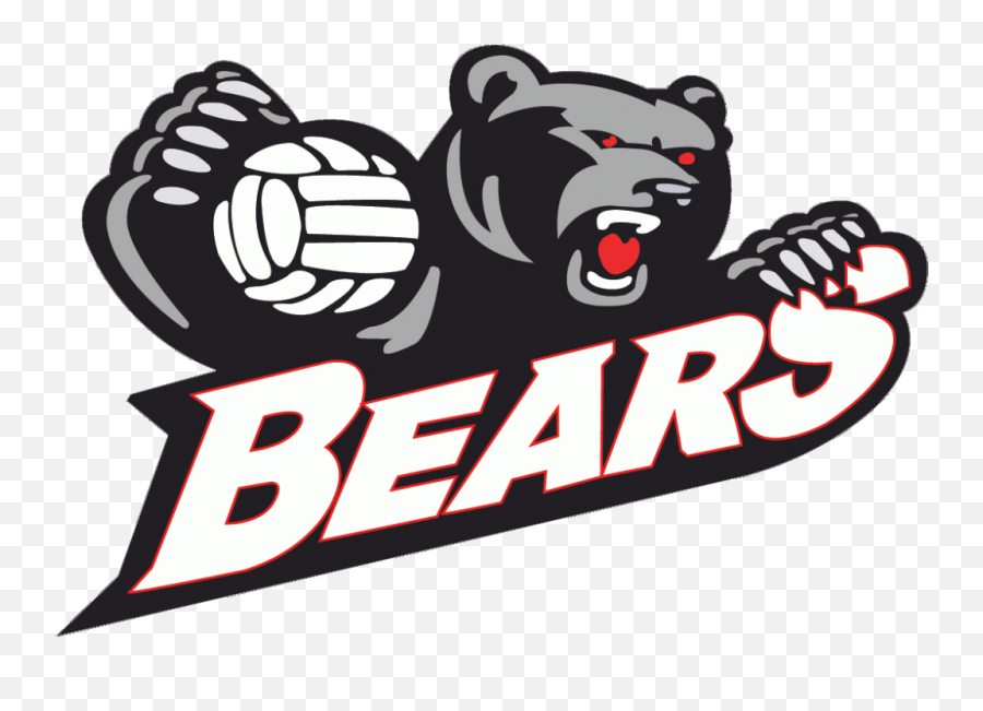 Home - Norwood Bears Volleyball Club Illustration Png,Volleyball Logo