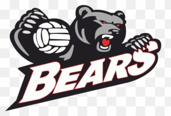 Home - Norwood Bears Volleyball Club Illustration Png,Volleyball Logo