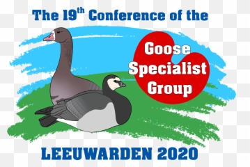 Goose Specialist Group1 - Duck Png,Geese Png