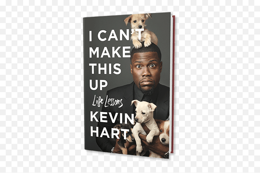 Kevin Hart Discusses Violent Marriage - Kevin Hart I Cant Make This Up Png,Kevin Hart Png
