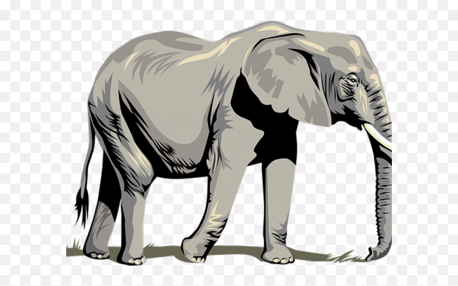 Tusk Clipart Asia Animal - Clipart Elephant Transparent Background Png,Tusk Png