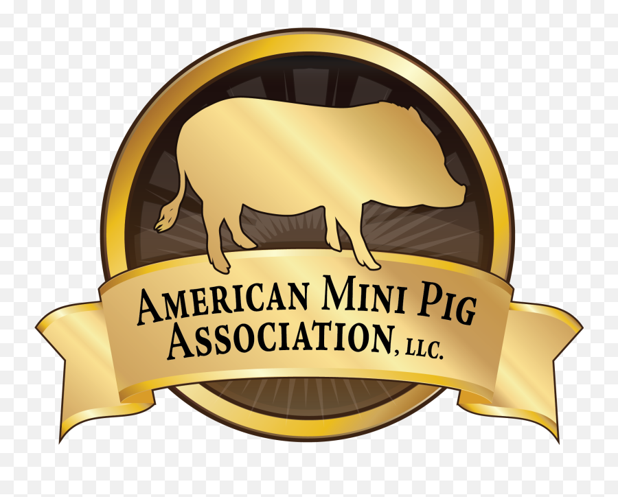 Boar Png - Hog Vector Angry Pig Baby Mini Pig Transparent Logo De Cerdito Con Olla,Hog Png