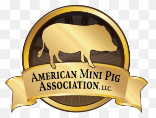 Boar Png - Hog Vector Angry Pig Baby Mini Pig Transparent Logo De Cerdito Con Olla,Hog Png