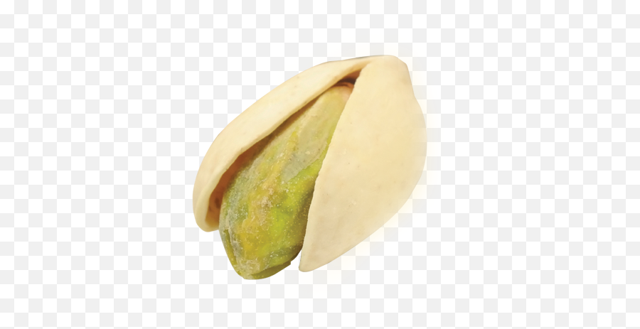 Download Shop Now Png Papaya