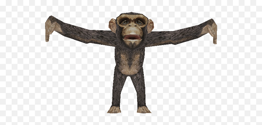 Pc Computer - Zoo Tycoon 2 Chimpanzee Baby The Models Old World Monkeys Png,Chimpanzee Png