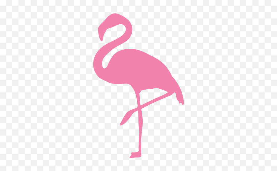 Transparent Png Svg Vector File - Greater Flamingo,Flamingo Png