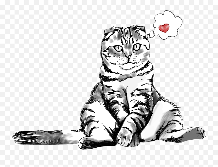 Cat Love Sitting Kitty Drawing Sticker - Soft Png,Cat Lineart Transparent