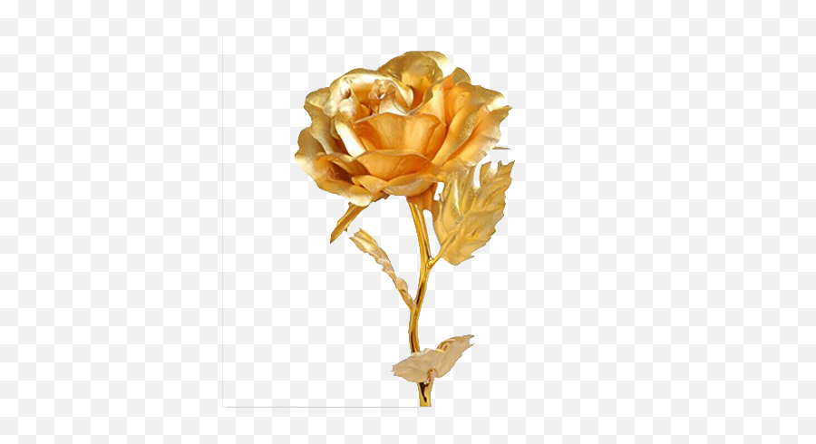 Golden Rose Png Download Image Arts - Transparent Golden Rose Png,Yellow Roses Png