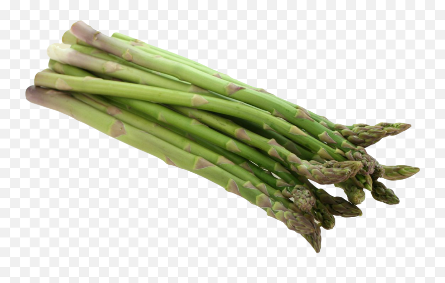 Download Asparagus Png Image For Free - Asparagus Png,Vegetable Garden Png