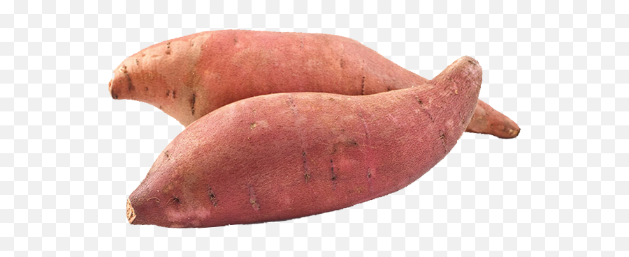 Sweet Potato - Sweet Potato Png,Potato Png