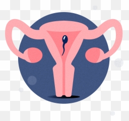 Consultation 60 Min - Apricity Fertility Clinic Fafire png