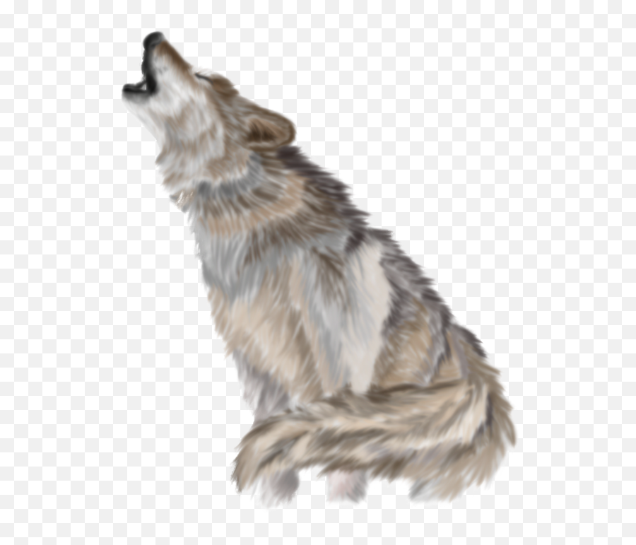 Download Wolf Png Pic - Wolf,Wolf Face Png