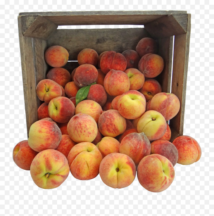 Peachpeachespennsylvaniaamishcrate - Free Image From Fruit In Crate Png,Peaches Png