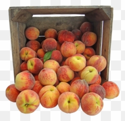 Peachpeachespennsylvaniaamishcrate - Free Image From Fruit In Crate Png,Peaches Png