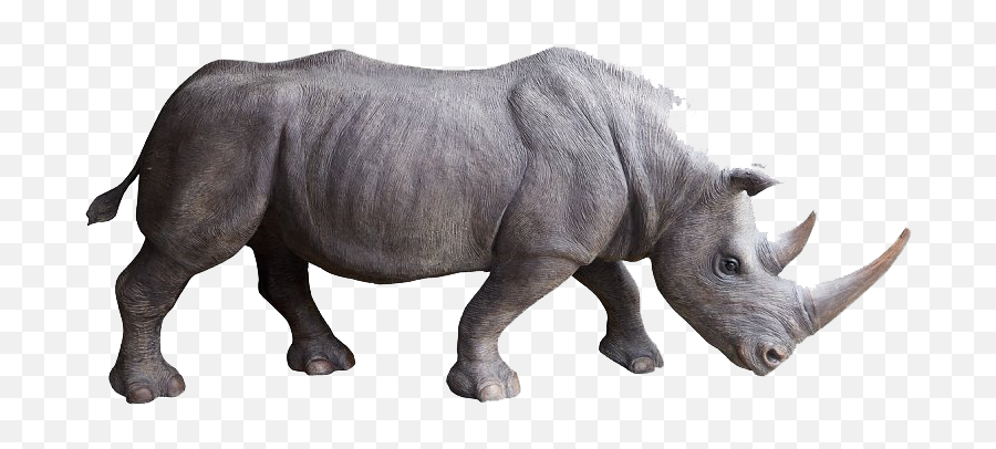 Rhino Png Photo Background
