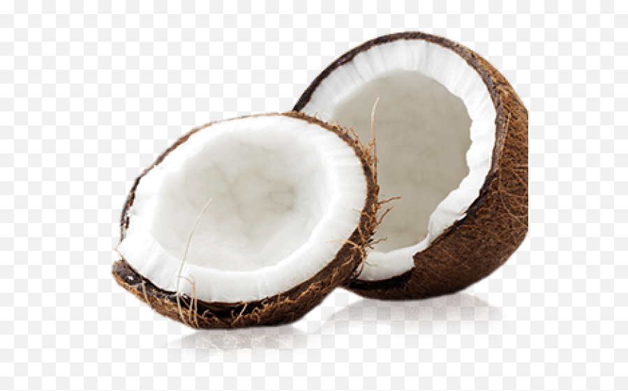 Coconut Png Transparent Images 5 - 1200 X 798 Webcomicmsnet Coconutpng,Coconut Png